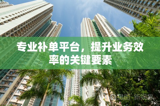 专业补单平台，提升业务效率的关键要素