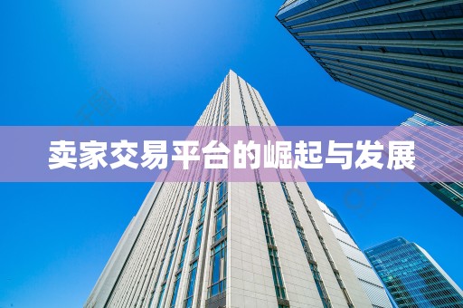卖家交易平台的崛起与发展
