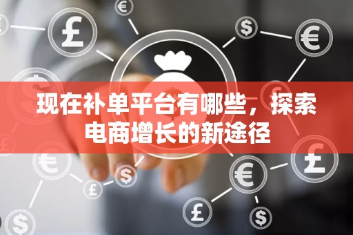 现在补单平台有哪些，探索电商增长的新途径