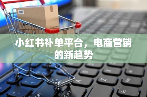 小红书补单平台，电商营销的新趋势