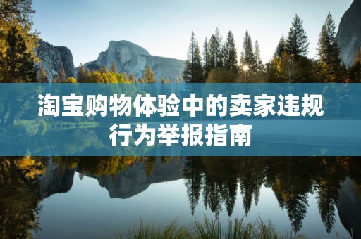 淘宝购物体验中的卖家违规行为举报指南