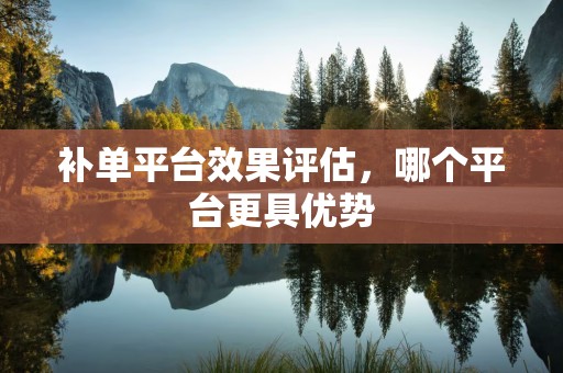 补单平台效果评估，哪个平台更具优势