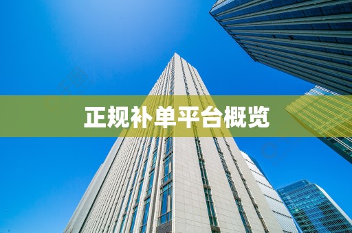 正规补单平台概览