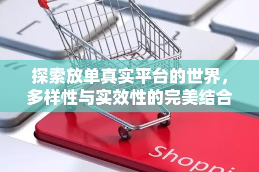 探索放单真实平台的世界，多样性与实效性的完美结合