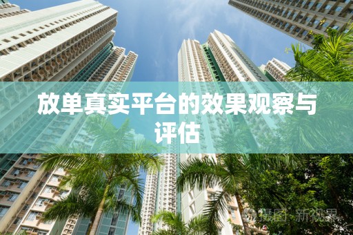 放单真实平台的效果观察与评估