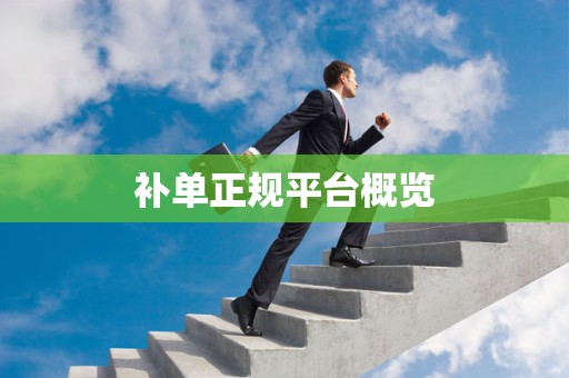 补单正规平台概览