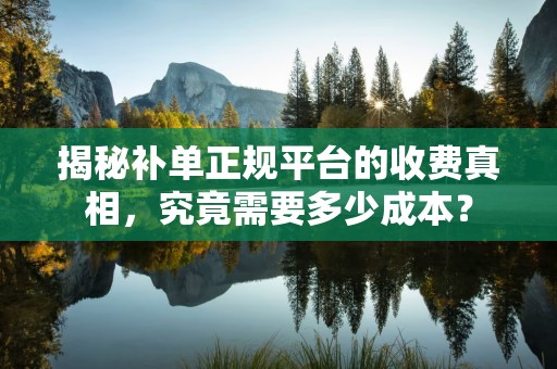 揭秘补单正规平台的收费真相，究竟需要多少成本？