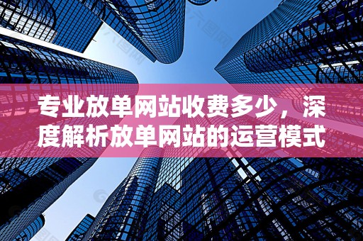 专业放单网站收费多少，深度解析放单网站的运营模式与费用结构