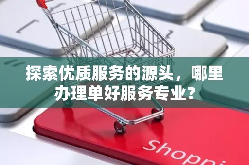 探索优质服务的源头，哪里办理单好服务专业？