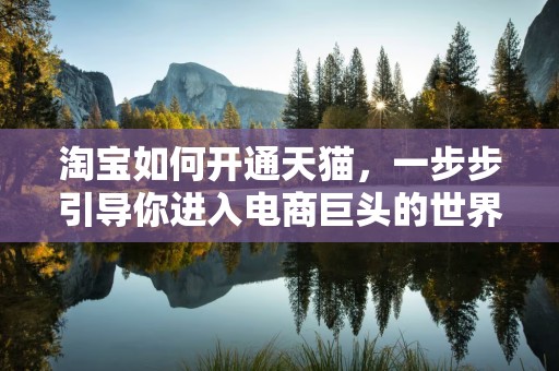 淘宝如何开通天猫，一步步引导你进入电商巨头的世界