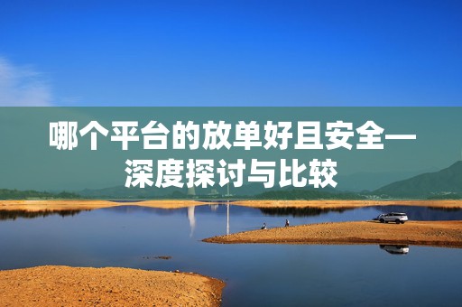 哪个平台的放单好且安全—深度探讨与比较