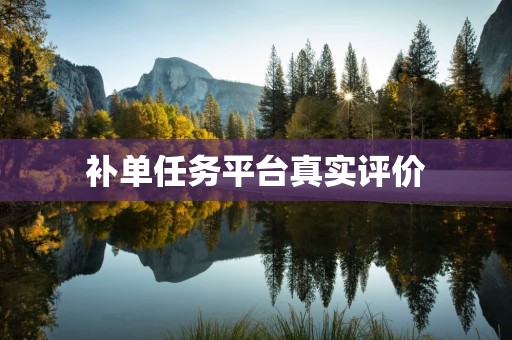 补单任务平台真实评价