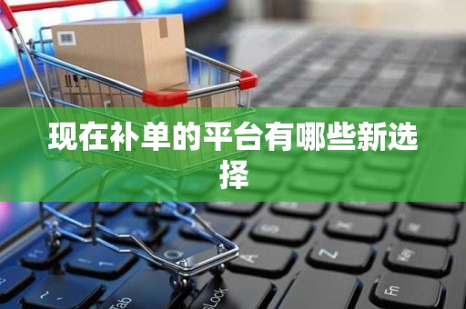 现在补单的平台有哪些新选择