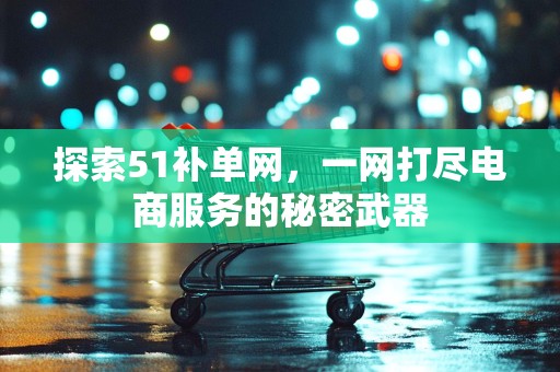 探索51补单网，一网打尽电商服务的秘密武器