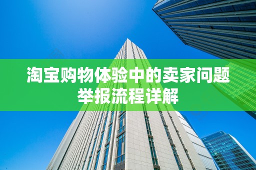 淘宝购物体验中的卖家问题举报流程详解