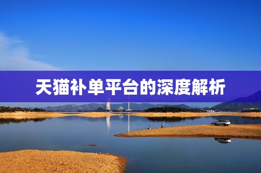 天猫补单平台的深度解析