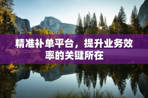 精准补单平台，提升业务效率的关键所在