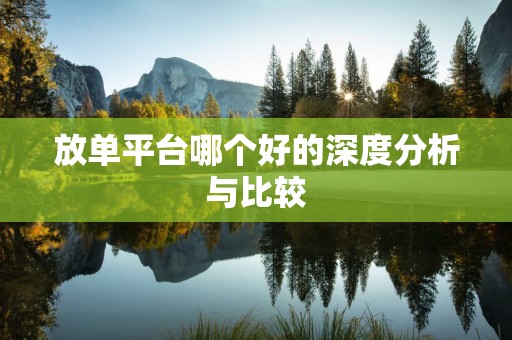 放单平台哪个好的深度分析与比较
