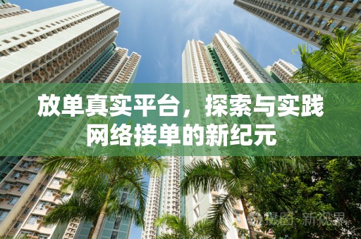 放单真实平台，探索与实践网络接单的新纪元