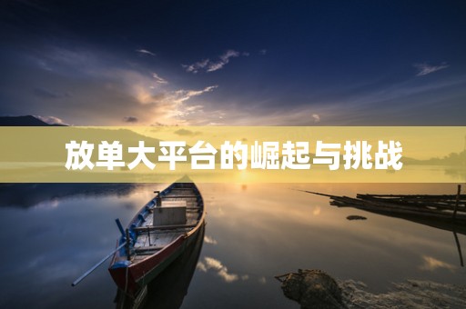 放单大平台的崛起与挑战