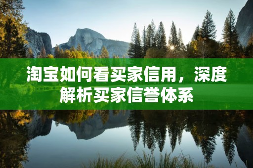 淘宝如何看买家信用，深度解析买家信誉体系