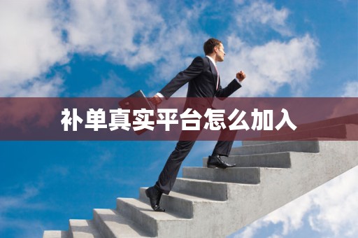 补单真实平台怎么加入