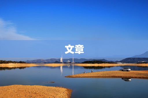 文章