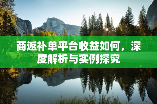 商返补单平台收益如何，深度解析与实例探究