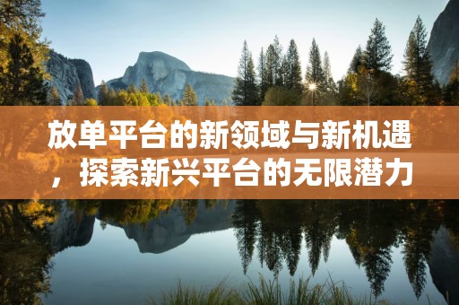 放单平台的新领域与新机遇，探索新兴平台的无限潜力