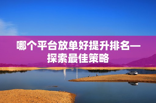 哪个平台放单好提升排名—探索最佳策略