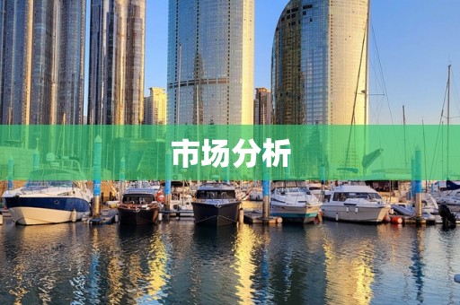 市场分析