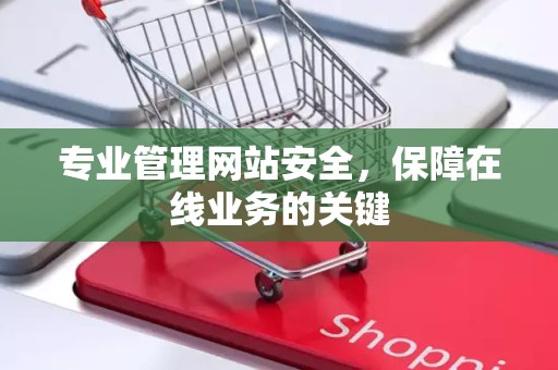 专业管理网站安全，保障在线业务的关键