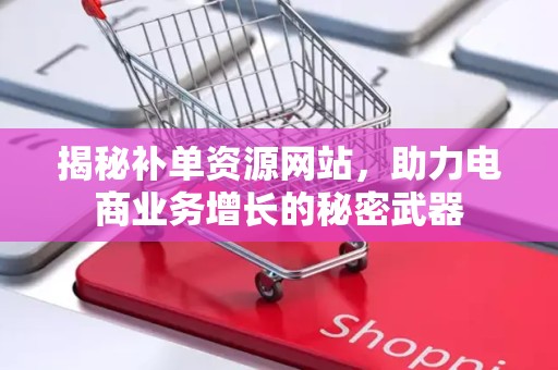 揭秘补单资源网站，助力电商业务增长的秘密武器