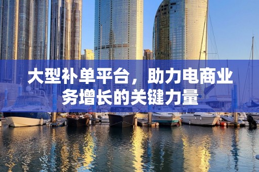 大型补单平台，助力电商业务增长的关键力量