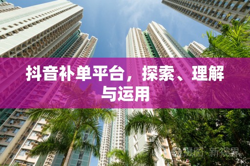 抖音补单平台，探索、理解与运用