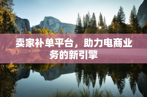 卖家补单平台，助力电商业务的新引擎