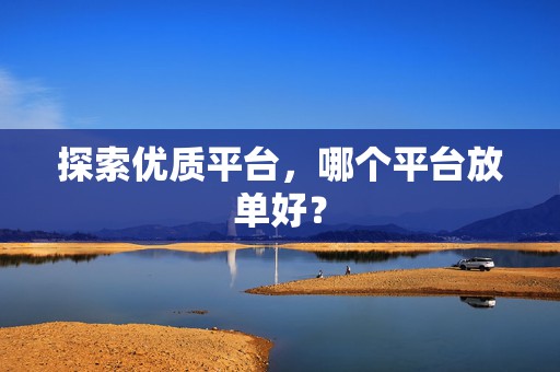 探索优质平台，哪个平台放单好？