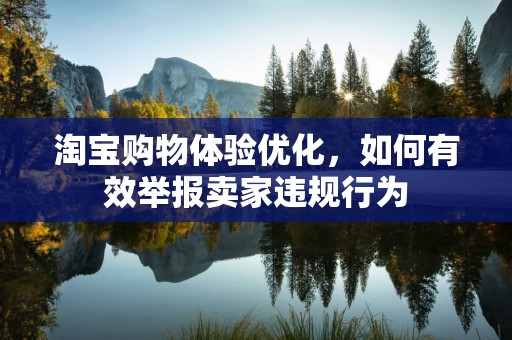淘宝购物体验优化，如何有效举报卖家违规行为