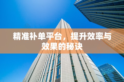 精准补单平台，提升效率与效果的秘诀
