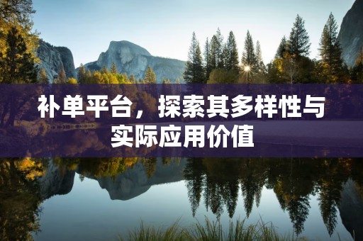 补单平台，探索其多样性与实际应用价值