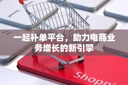 一起补单平台，助力电商业务增长的新引擎