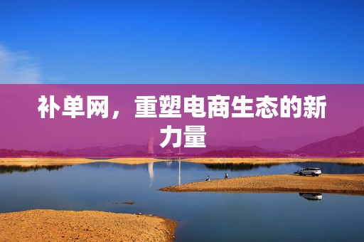 补单网，重塑电商生态的新力量
