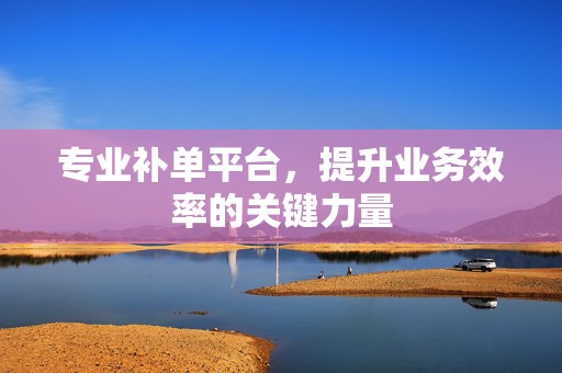 专业补单平台，提升业务效率的关键力量