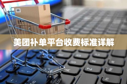 美团补单平台收费标准详解