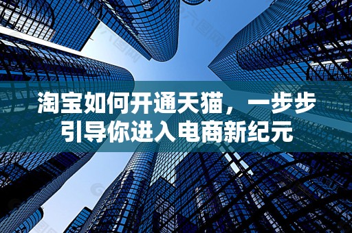 淘宝如何开通天猫，一步步引导你进入电商新纪元