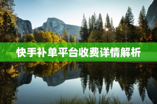 快手补单平台收费详情解析
