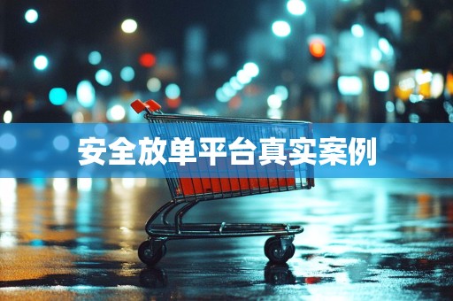 安全放单平台真实案例