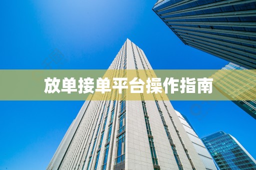 放单接单平台操作指南