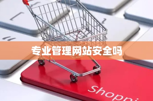 专业管理网站安全吗