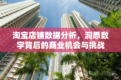 淘宝店铺数据分析，洞悉数字背后的商业机会与挑战
